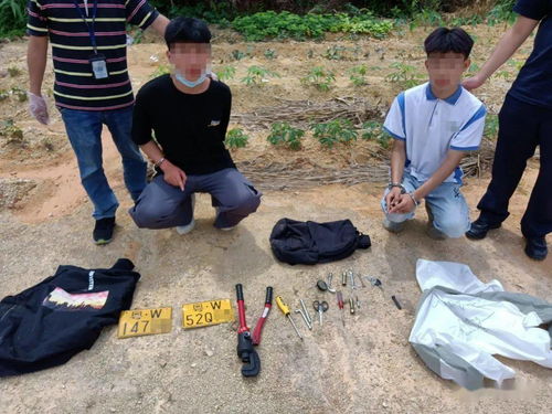 云浮两青年误入歧途，参与盗窃摩托车终被刑事拘留